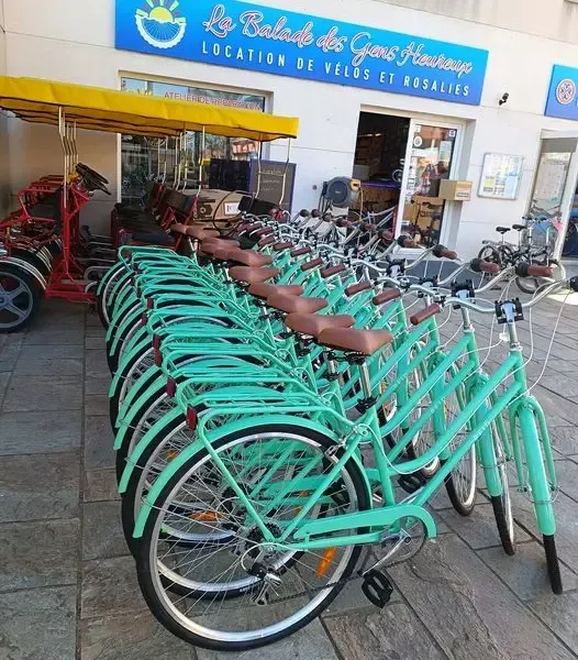 Location de vélo près de Tamarissière